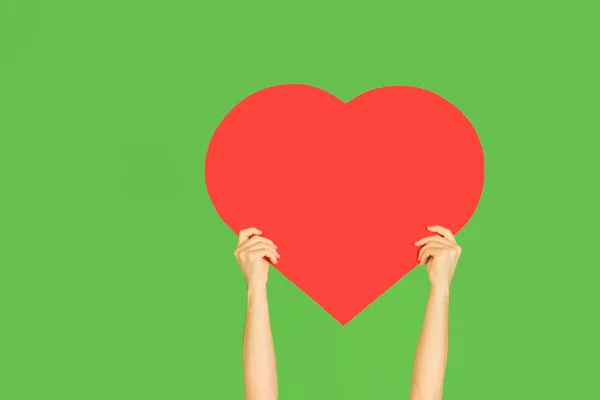 Hands holding the sign of heart on green studio background — ストック写真