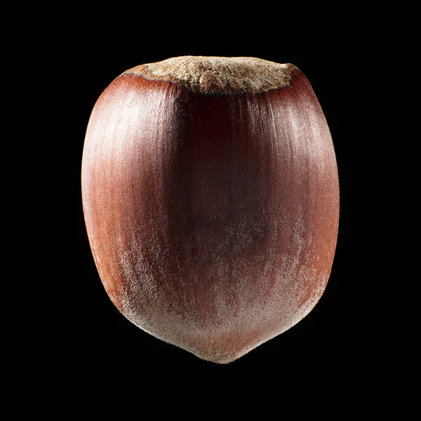 Macro tiro de semente em fundo preto isolado, close-up — Fotografia de Stock