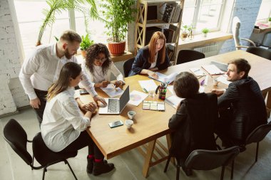 Bir grup genç iş adamı toplantı yapıyor, yaratıcı bir ofis.