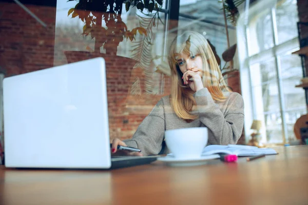 Beautiful caucasian business lady working in office with laptop — Stock Photo, Image