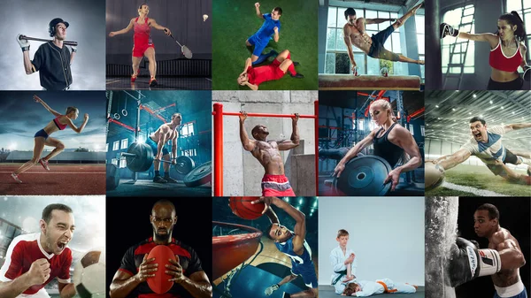 Retrato de grupo multiétnico de deportistas sobre fondo multicolor — Foto de Stock