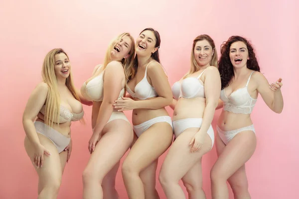 Ritratto di belle donne plus size in posa su sfondo rosa — Foto Stock