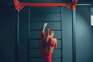 Spor salonunda sıkı çalışan bayan sporcu. Fitness ve sağlıklı yaşam konsepti.