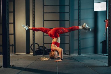 Spor salonunda sıkı çalışan bayan sporcu. Fitness ve sağlıklı yaşam konsepti.