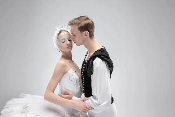 Jovem gracioso casal de bailarinos de balé no fundo do estúdio branco — Fotografia de Stock