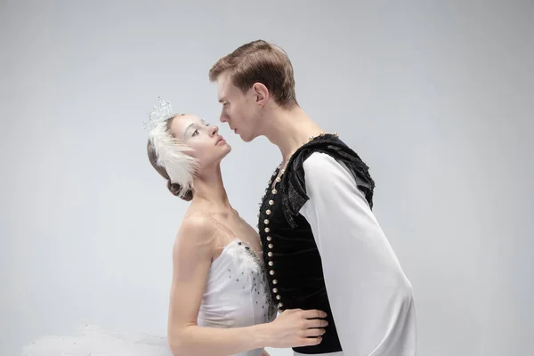 Jovem gracioso casal de bailarinos de balé no fundo do estúdio branco — Fotografia de Stock