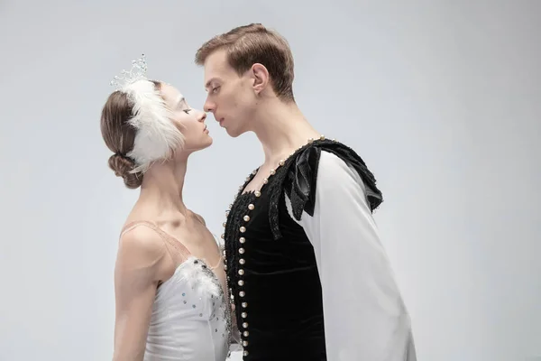 Jovem gracioso casal de bailarinos de balé no fundo do estúdio branco — Fotografia de Stock