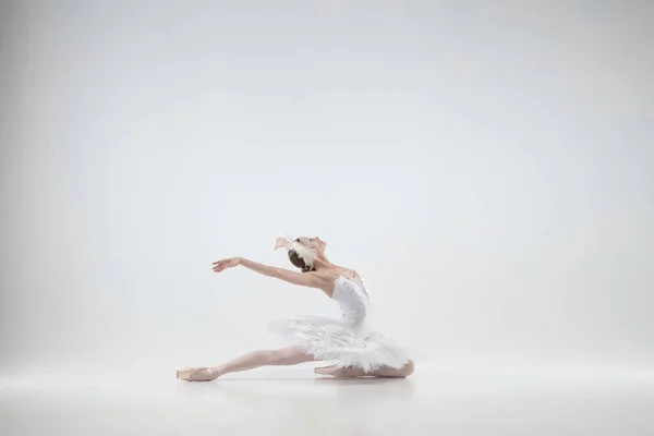 Fiatal kecses balerina fehér stúdió háttér — Stock Fotó