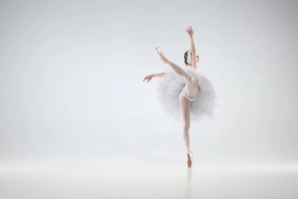 Mladý půvabný balerína na bílém pozadí studia — Stock fotografie