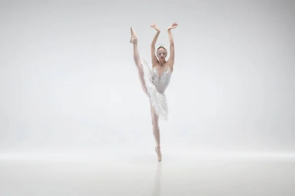 Giovane ballerina graziosa su sfondo bianco studio — Foto Stock