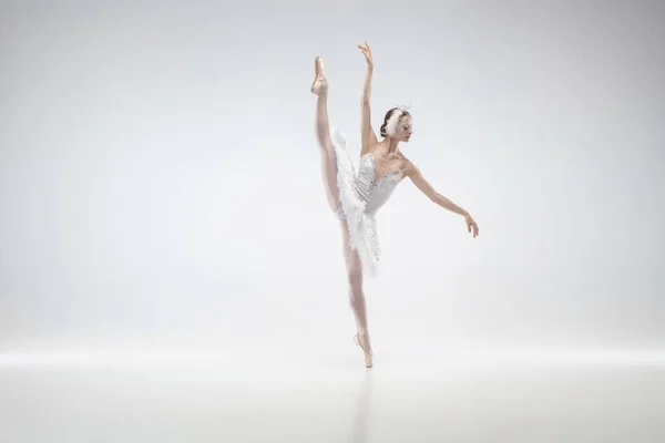 Молода витончена балерина на білому фоні студії — стокове фото