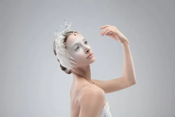 年轻优雅的芭蕾舞演员在白色工作室背景下的特写 — 图库照片