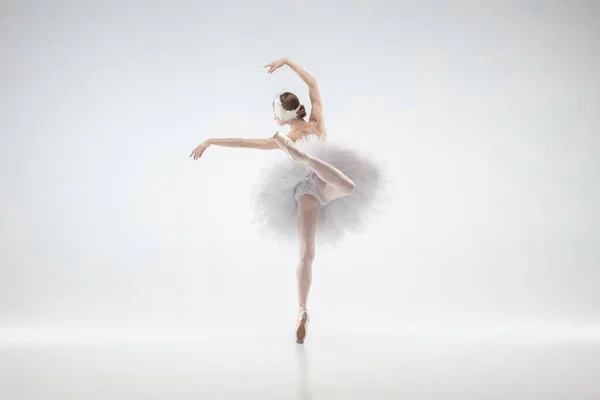 Giovane ballerina graziosa su sfondo bianco studio — Foto Stock