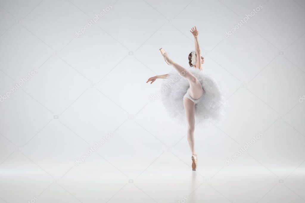 Young graceful ballerina on white studio background
