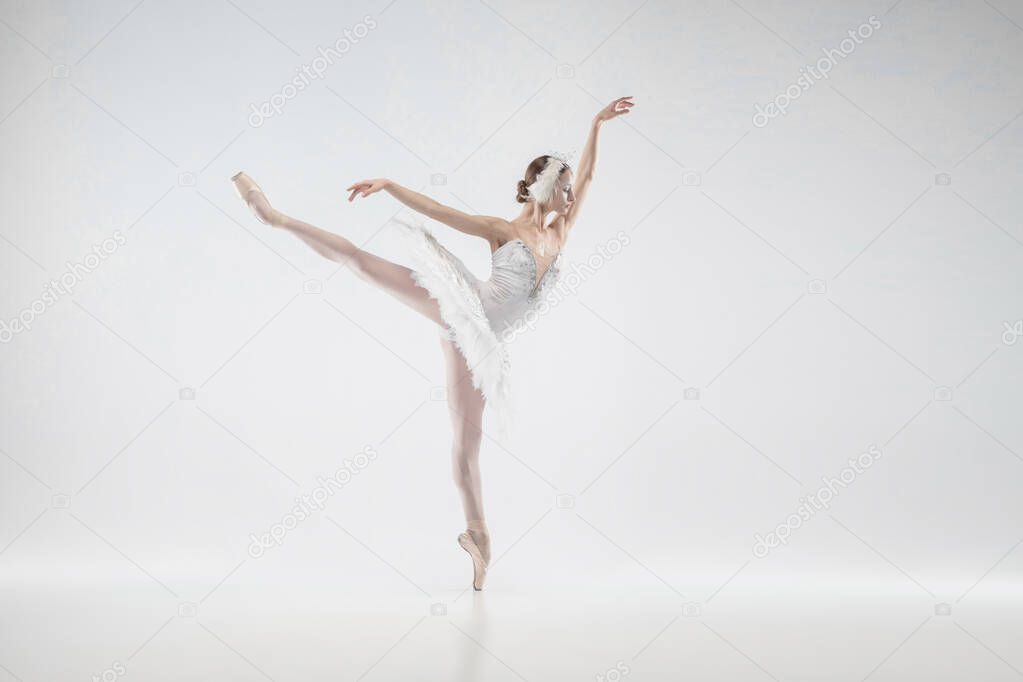 Young graceful ballerina on white studio background