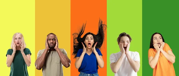 Portrait of group of emotional people on multicolored background — Stock Photo, Image