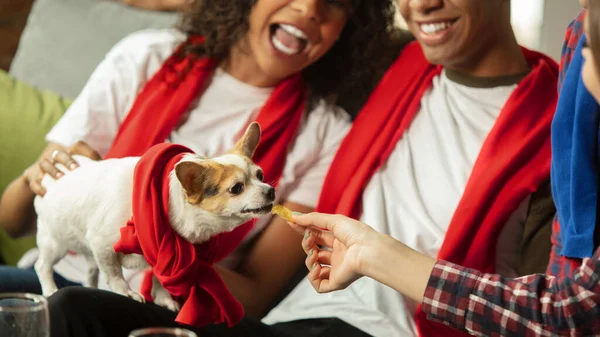 Groupe excité de personnes regardant le match sportif, championnat à la maison — Photo