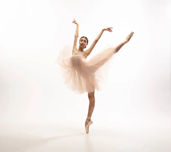 Молода витончена ніжна балерина на білому фоні студії — стокове фото