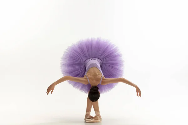 Mladý půvabný jemný balerína na bílém pozadí studia — Stock fotografie