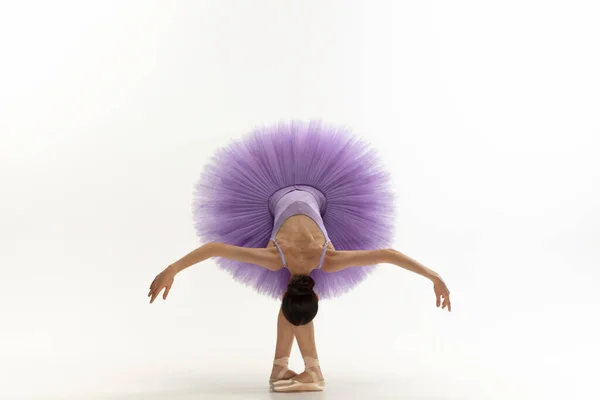 Jeune ballerine tendre gracieuse sur fond de studio blanc — Photo