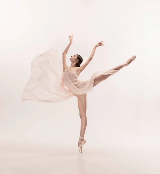 Молодая изящная нежная балерина на белом фоне студии — стоковое фото