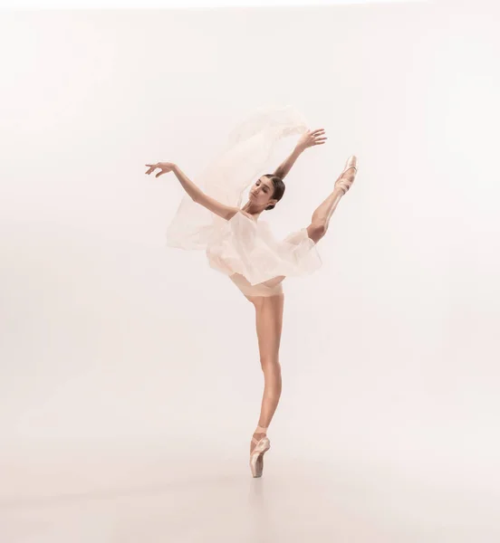 Młody wdzięk przetargu balerina na białym tle studio — Zdjęcie stockowe