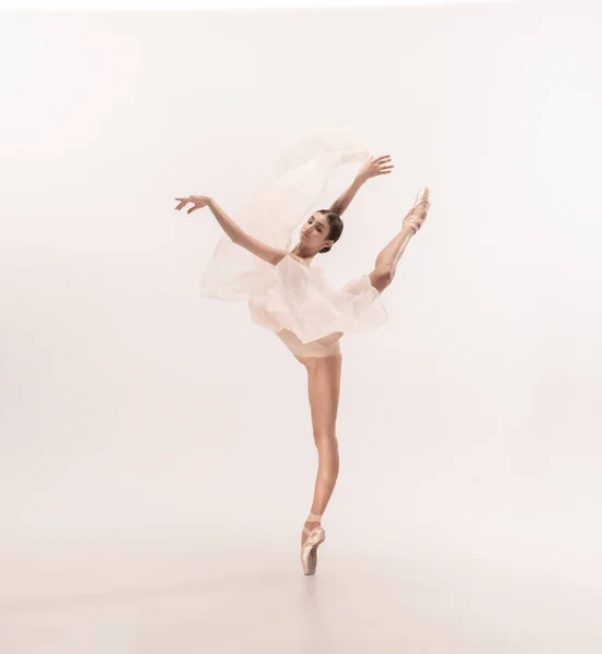 Giovane ballerina tenera graziosa su sfondo bianco dello studio — Foto Stock