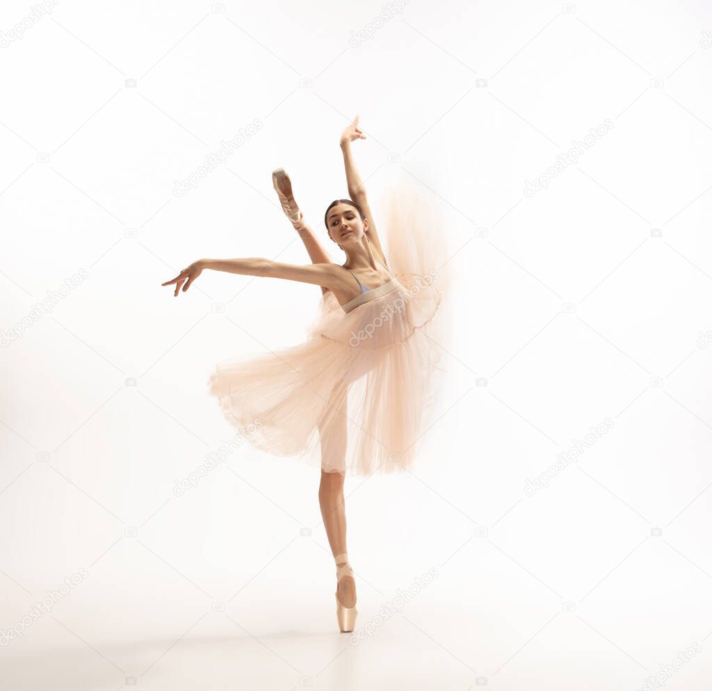 Young graceful tender ballerina on white studio background
