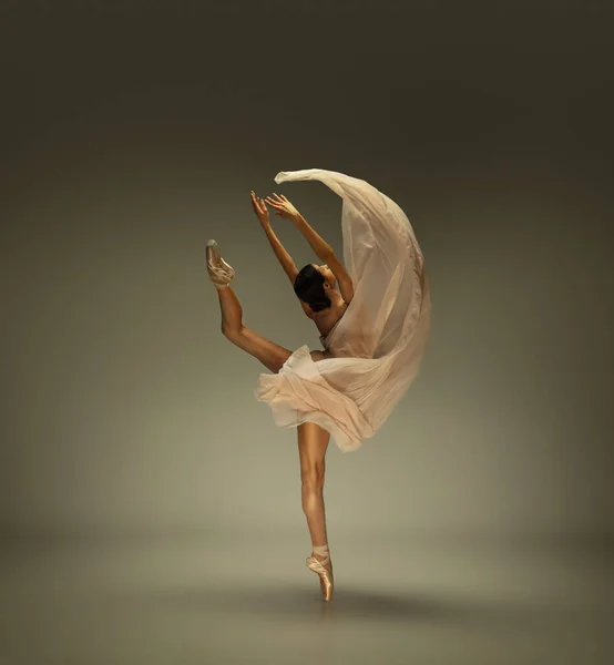 Young graceful tender ballerina on grey studio background — Stock Photo, Image