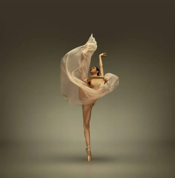 Jonge sierlijke tedere ballerina op grijze studio achtergrond — Stockfoto