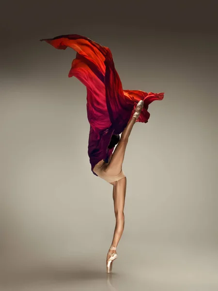 Jeune ballerine tendre gracieuse sur fond de studio gris — Photo