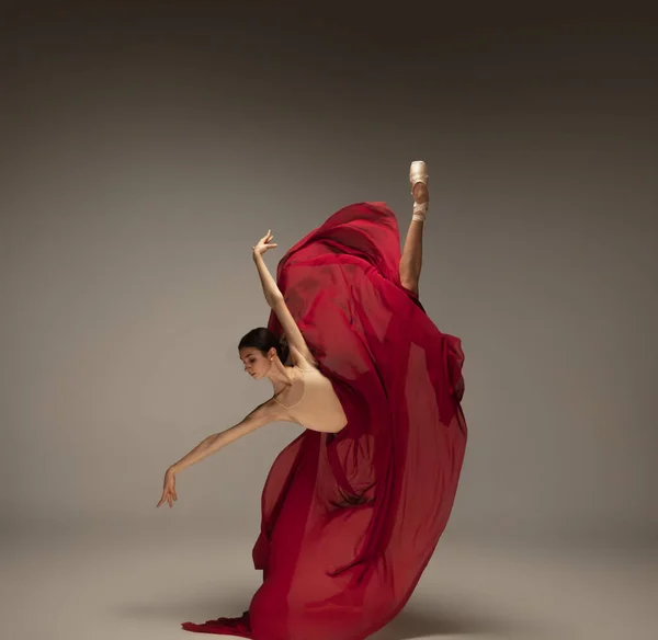 Jeune ballerine tendre gracieuse sur fond de studio gris — Photo