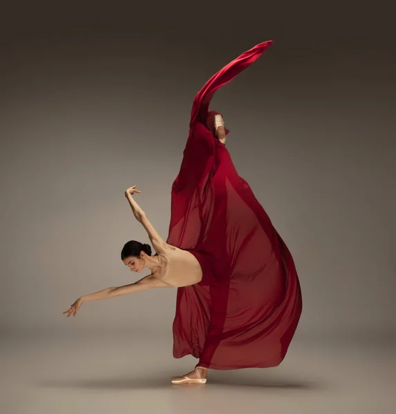 Young graceful tender ballerina on grey studio background — Stock Photo, Image