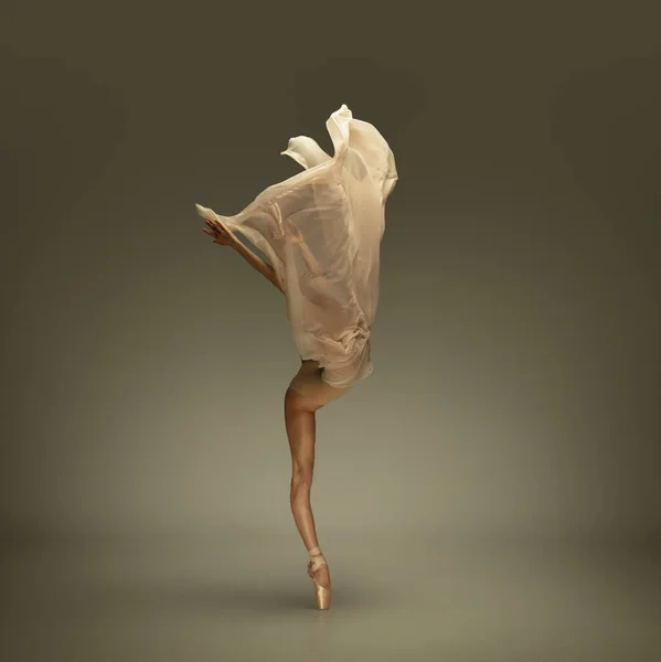 Joven bailarina elegante tierna sobre fondo gris estudio — Foto de Stock