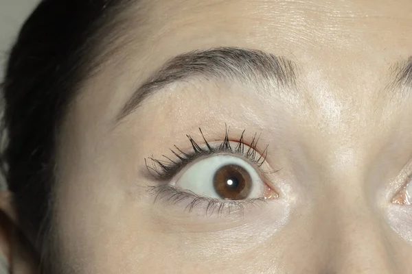 Close up of face of beautiful caucasian young woman, focus on eyes — Stock Photo, Image