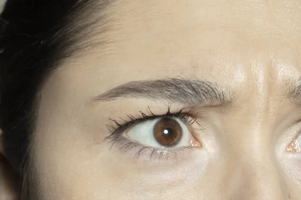 Close up of face of beautiful caucasian young woman, focus on eyes — Stock Photo, Image