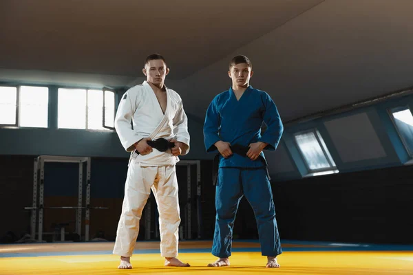 Dos jóvenes luchadores de judo en kimono posando confiados en el gimnasio, fuertes y saludables — Foto de Stock