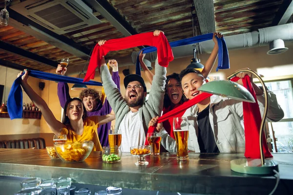 Sport fans cheering at bar, pub and drinking beer while championship, competition is going