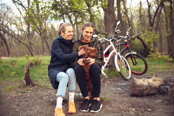 En iyi arkadaşlar kırsal park yakınlarında eğleniyor, bisiklet sürdükten sonra dinleniyor, birlikte vakit geçiriyor, çimlerin üzerinde oturuyor. — Stok fotoğraf