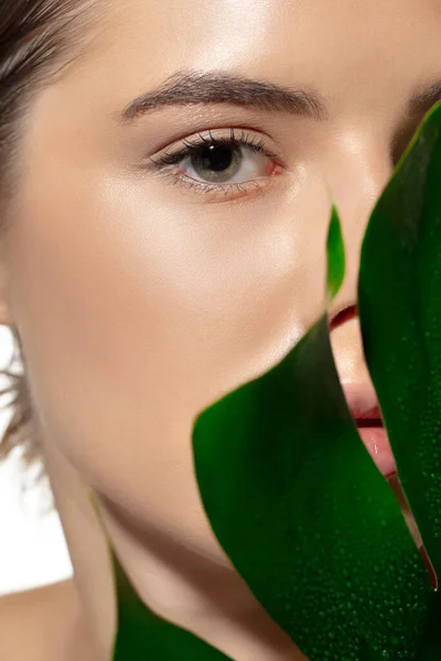 Organické. Detailní záběr krásné mladé ženy se zelenými listy na bílém pozadí. Kosmetika a make-up, přírodní a ekologické ošetření, péče o pleť. — Stock fotografie