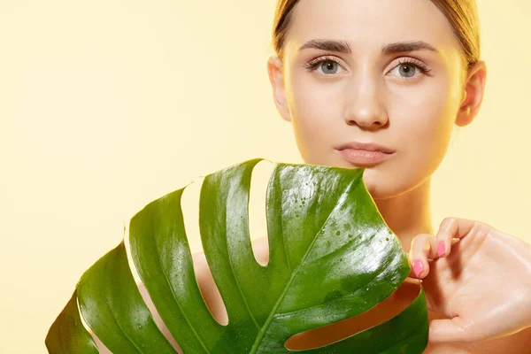 Glanzend. Close-up van mooi vrouwelijk gezicht met groene bladeren over witte achtergrond. Cosmetica en make-up, natuurlijke en eco-behandeling, huidverzorging. — Stockfoto