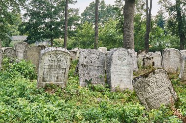 Gravestones in the Jewish cemetery clipart