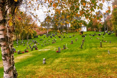 Sonbahar Norveç mezarlığı