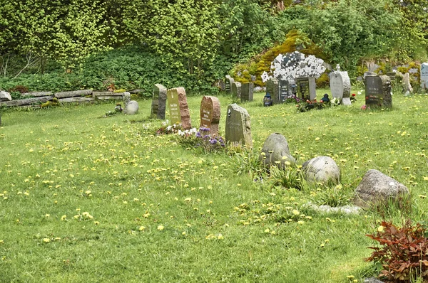 Cruces históricas y lápidas en un pequeño cementerio — Foto de Stock