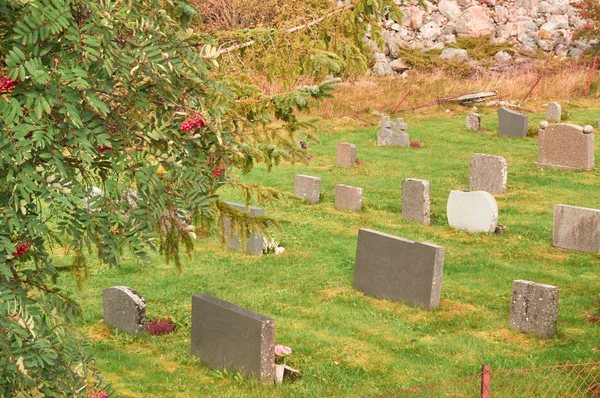 Herbstlandschaft auf dem Friedhof — Stockfoto