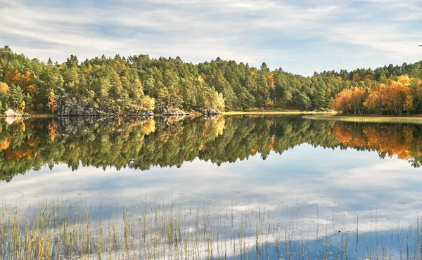 Norwegian lake, around the autumn forest — Stock Photo, Image