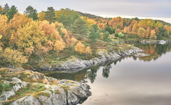 Fjord landscape, mixed forest in autumn — Stock Photo, Image