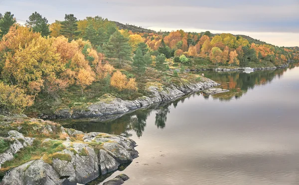 Фіорд краєвид, змішаний ліс восени — стокове фото