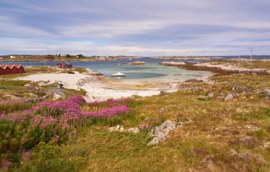 Norveç bay, yosunlu deniz manzarası kadeh uzun pozlama