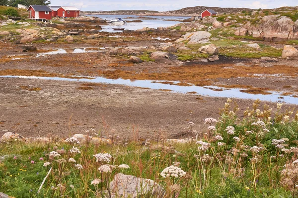 Bahía noruega en marea baja — Foto de Stock